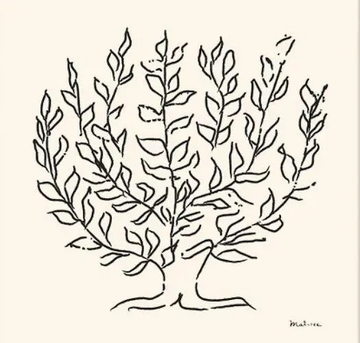 Casa Platano Lägenhet Estepona