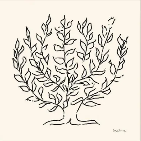 Casa Platano Apartman Estepona